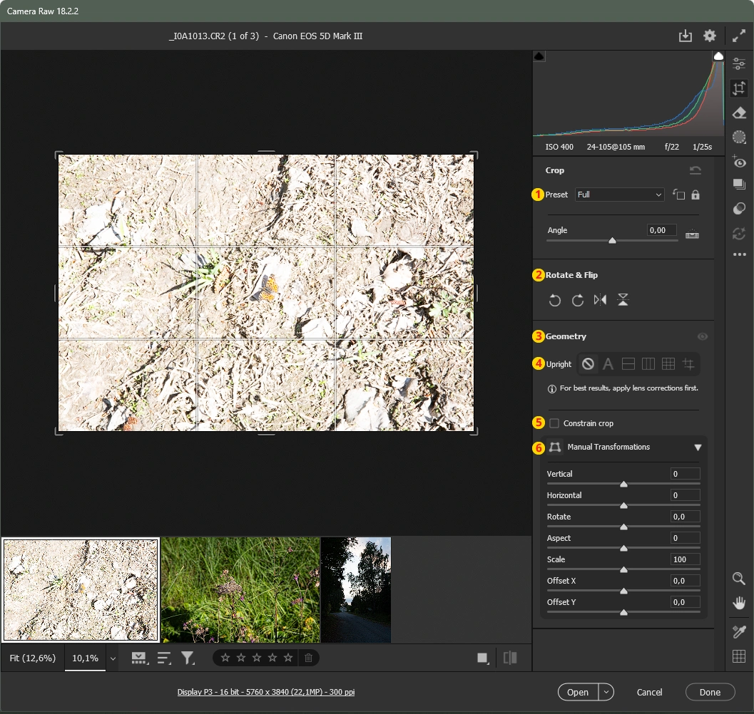 Camera Raw työkalujen geometria ja leikkaus -asetuksia. Camera Raw työkalujen geometria ja leikkaus -asetuksia.