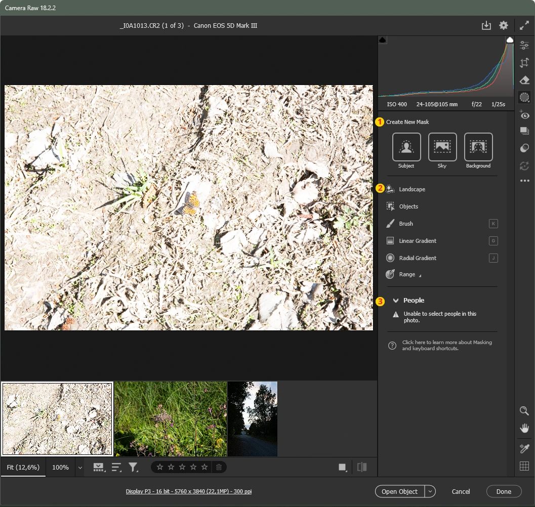 Masking eli maskaus ja siihen liittyvät toiminnot Camera RAW-suotimessa. Masking eli maskaus ja siihen liittyvät toiminnot Camera RAW-suotimessa.