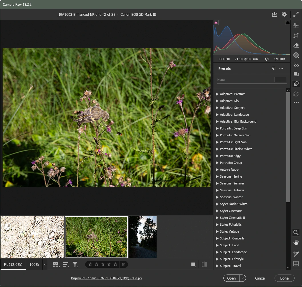 Kymmeniä esiasetuksia sisältävä Presets-paneeli säästää muokkaukseen käytettävää aikaa. Kymmeniä esiasetuksia sisältävä Presets-paneeli säästää muokkaukseen käytettävää aikaa.