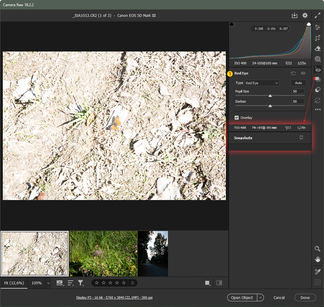 Punasilmäisyyden poisto Camera RAW:ssa sekä versiointia SnapShot-työkalulla. Punasilmäisyyden poisto Camera RAW:ssa sekä versiointia SnapShot-työkalulla.