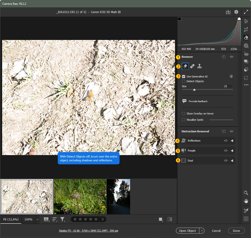 Remove-työkalukokonaisuudella voidaan poistaa objekteja kuvasta. Remove-työkalukokonaisuudella voidaan poistaa objekteja kuvasta.