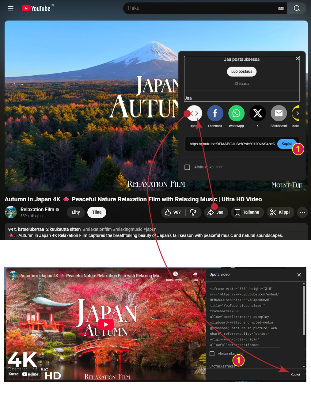 Videon linkin tai upotuskoodin hakeminen Youtubesta. Videon linkin tai upotuskoodin hakeminen Youtubesta.